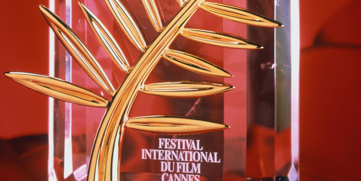 Tutti i film vincitori della Palma d'Oro al Festival di Cannes dal 2000 al 2024 1 cannes tutti i vincitori