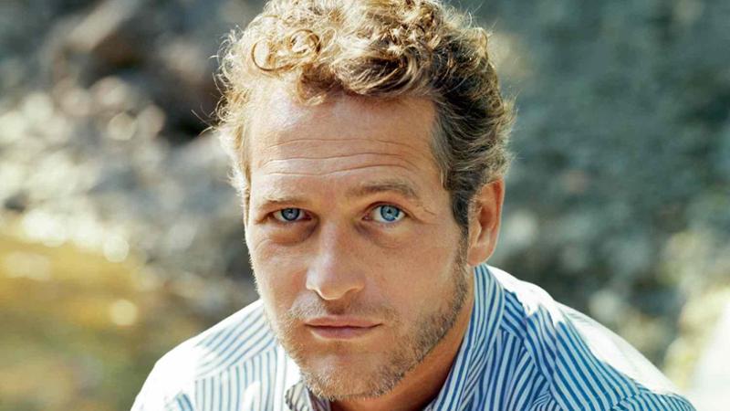 Torino Film Festival 2025: Paul Newman volto dell'edizione 2 Torino Film Festival 2025
Paul Newman