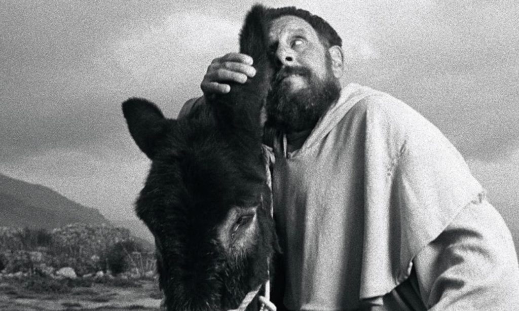 Venezia 82: il programma della decima giornata 2 Venezia 82: Un film fatto per bene