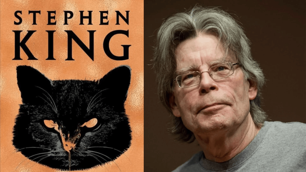 Rat: l’opera di Stephen King pronta per essere adattata per il cinema 2 La storia di rat diventa un film